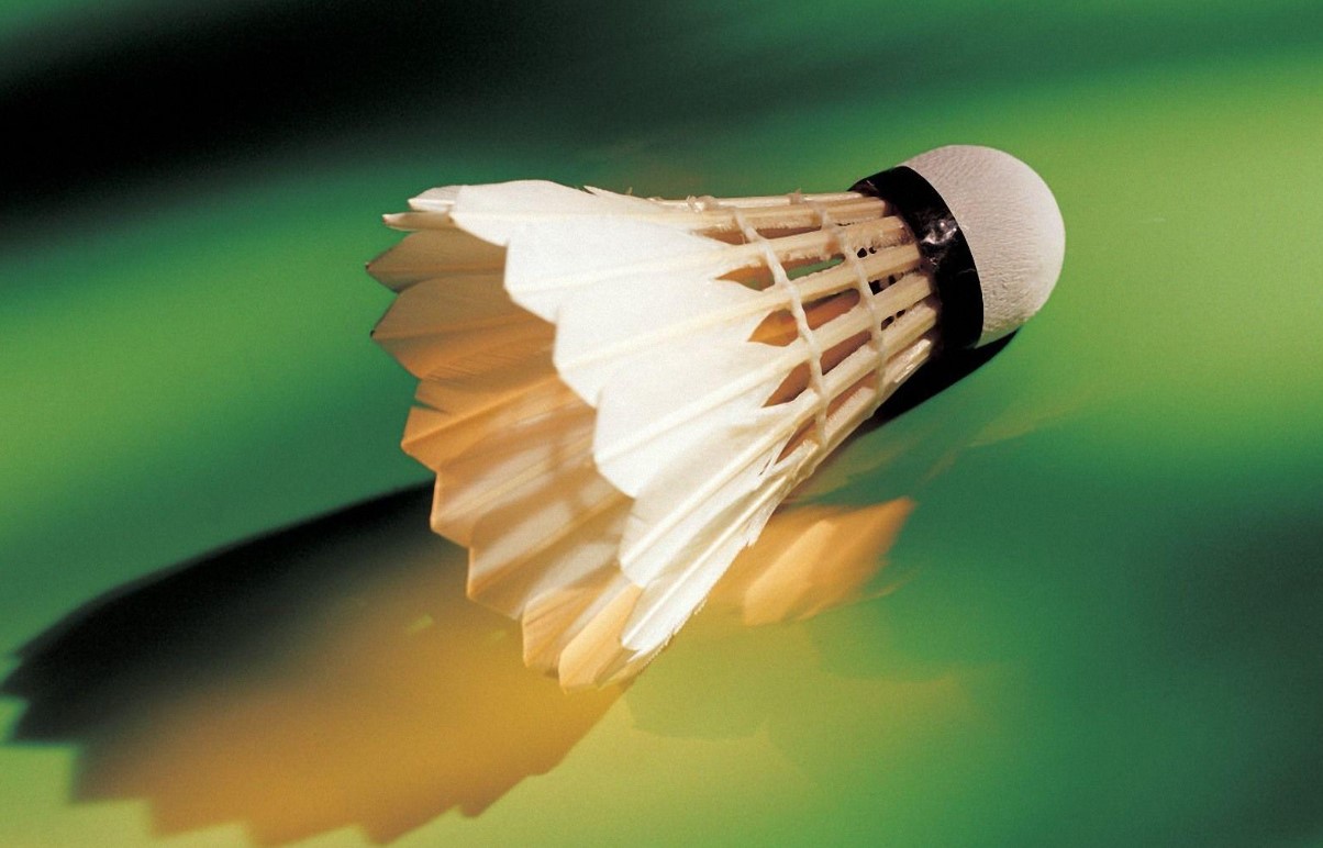 Badminton Game For Betting